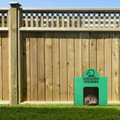 Wildlife World Hedgehog Crossing Square Tunnel