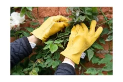 Deluxe Premium Leather S