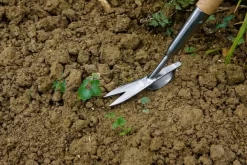 Stainless Steel Long Handled Daisy Weeder -Nature Living Shop product 2048x1367 64ae8020a7808 n